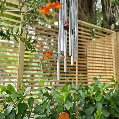 Flora'S Garden Apartment/Studio North Miami Exterior photo