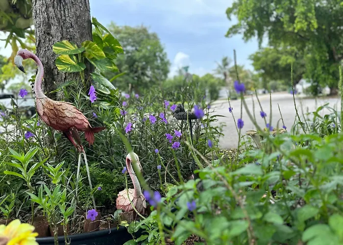 Flora\'S Garden Apartment/Studio
